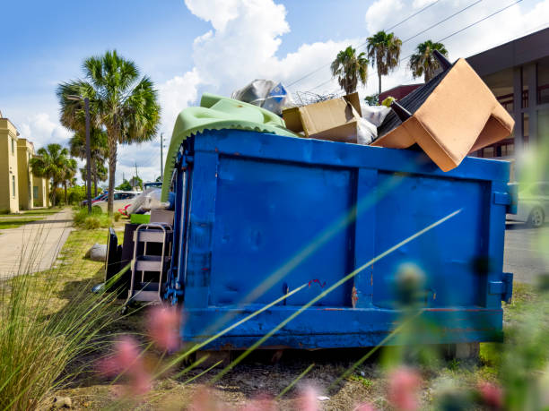 Yard Cleanup Services in Redland, AL
